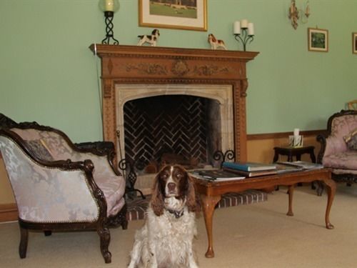 Somerton Court Country House Hotel Екстериор снимка